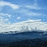 Standard Room With Garden view
