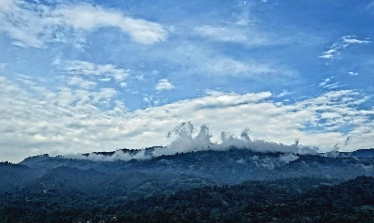 Standard Room With Garden view